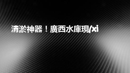 清淤神器！廣西水庫現(xiàn)代化設備助力水質凈化，你知道它是什么嗎？